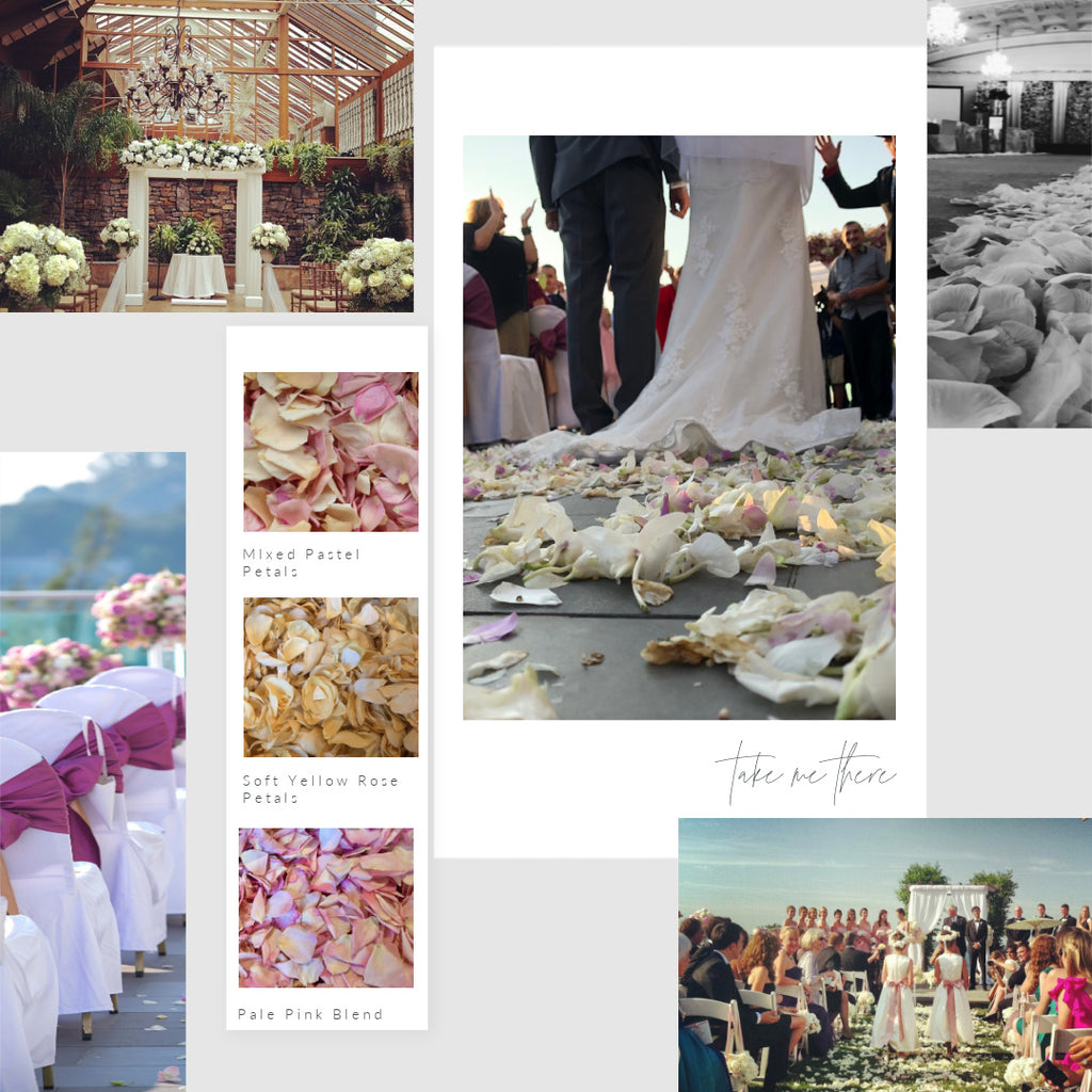 Creating A Magical Petal Aisle