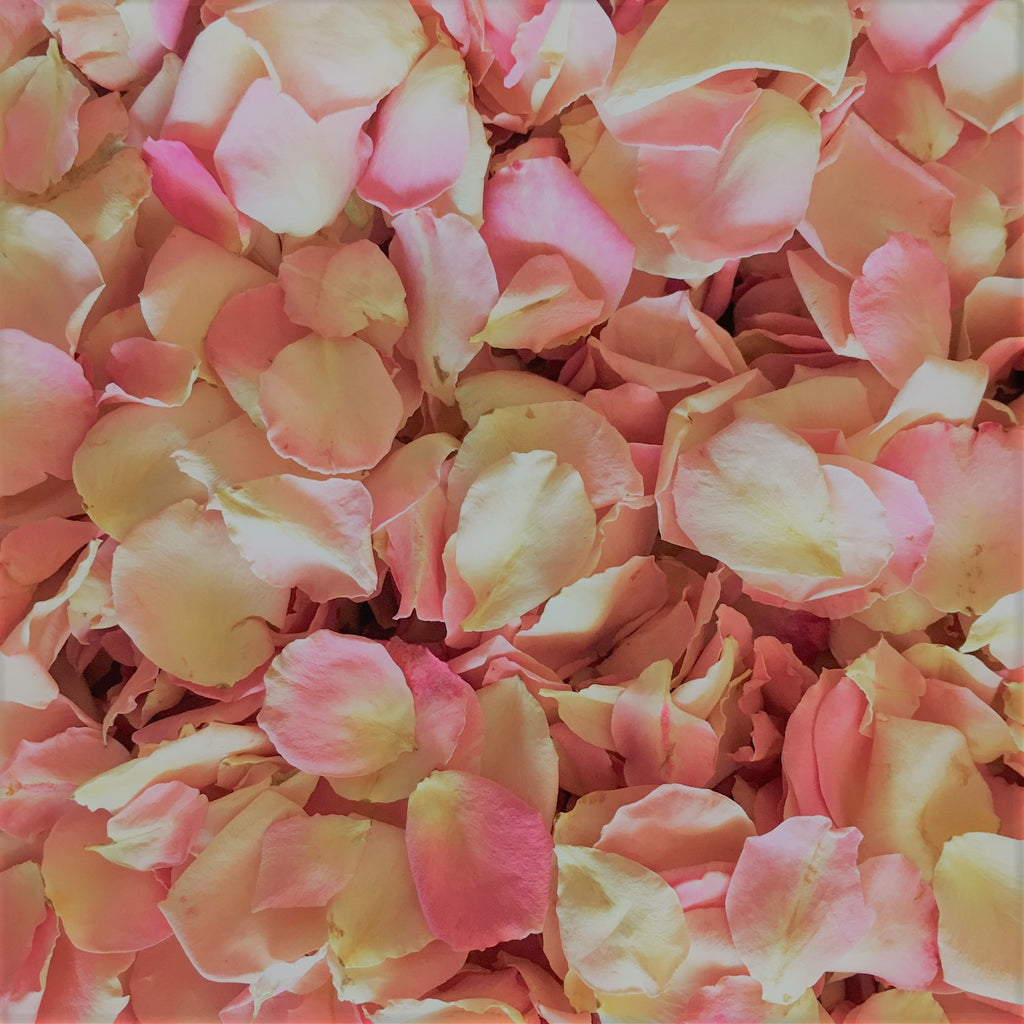 We Have These Gorgeous Petite Baby Pink Petals In Stock!