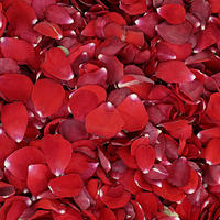 Red and Deep Red Rose Petals - Back In Stock Soon