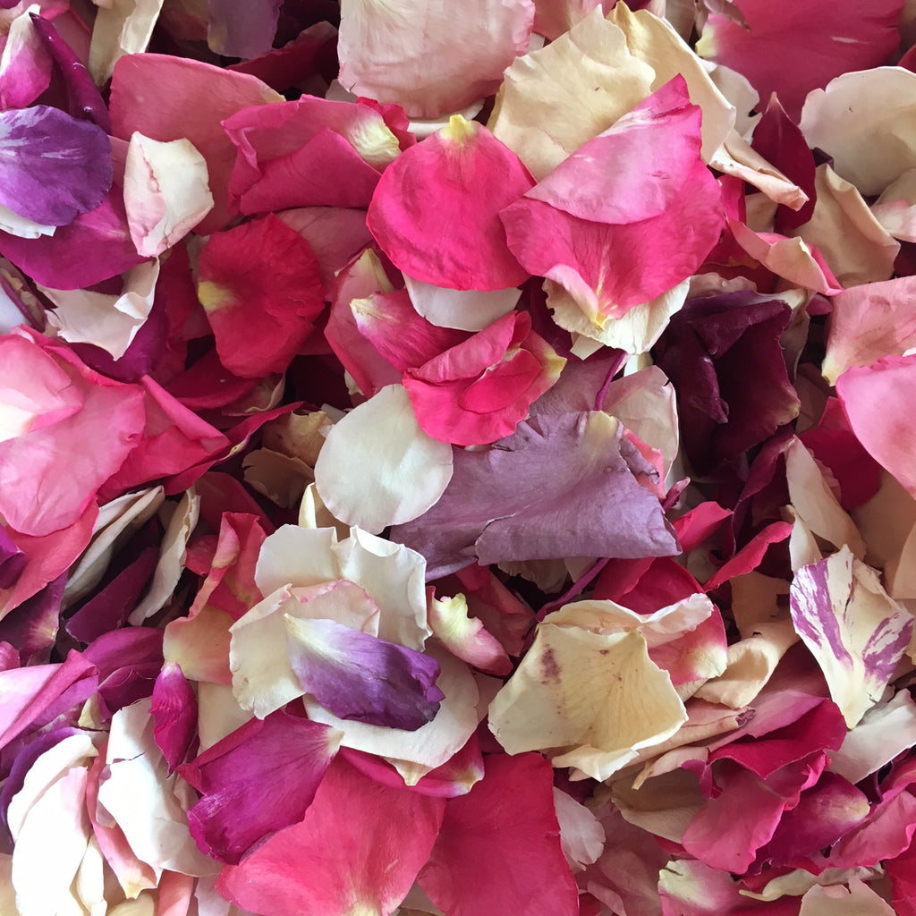 Our Latest Batch Of Budget Mixed Petals Are Simply Beautiful!