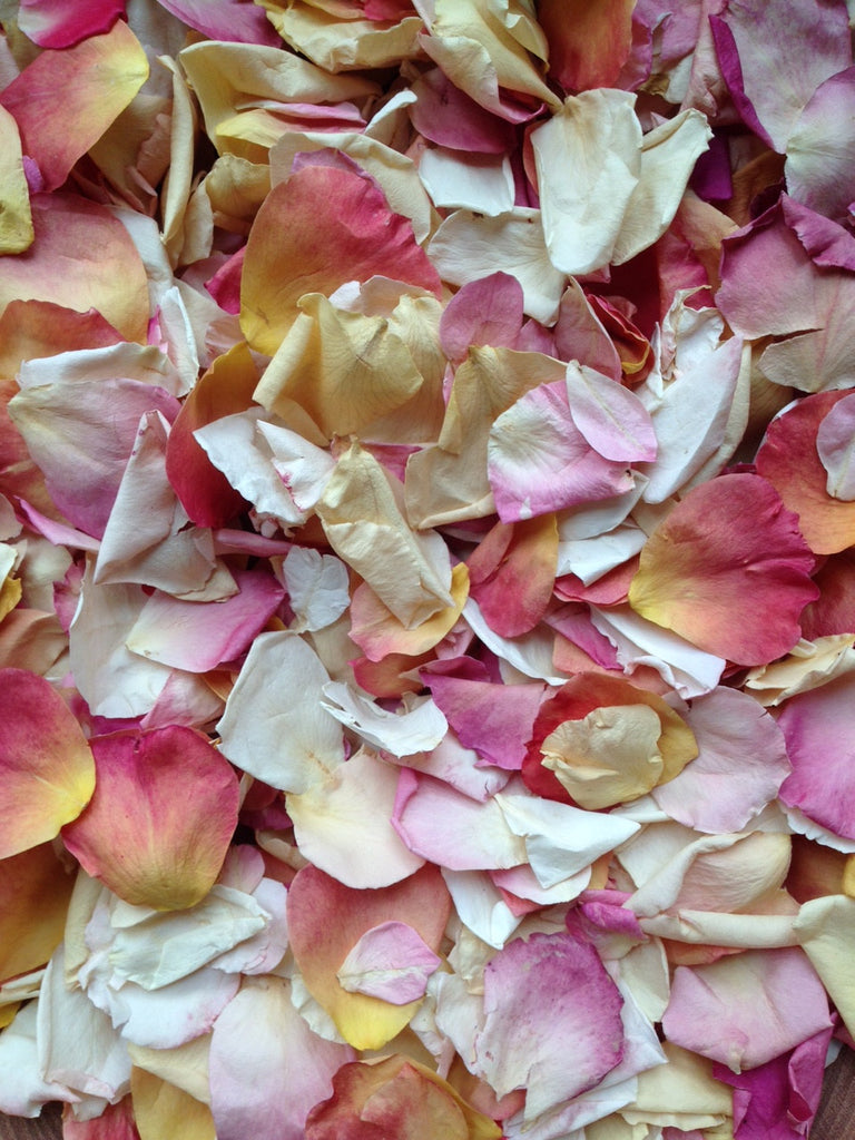 Beautiful Summer Petals on Sale - Grab Yourself a Bargain!