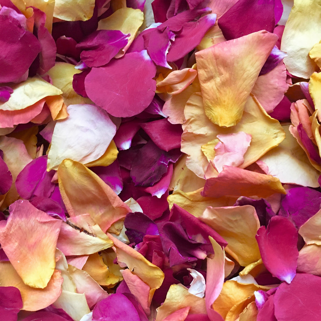Petals To Spice Up Your Halloween