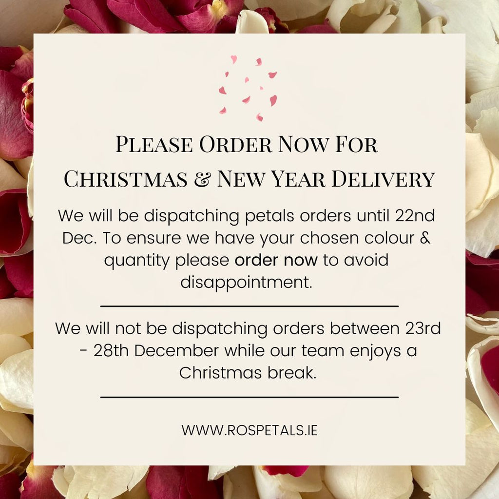 Dec 2022 - Order Now For Christmas Delivery