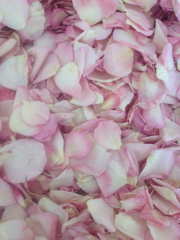 Our perfect Pale Pink Rose Petals are back in stock!