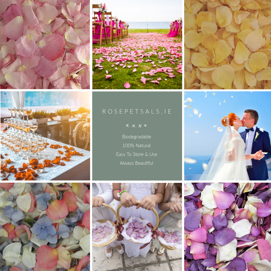 Wedding Colour Trends For 2019