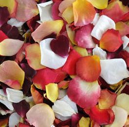 Autumnal Rose Petals To Add A Pop Of Colour To Your Wedding Day