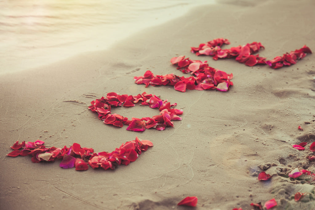 Use Our Rose Petals This Valentine's Day, And Surprise Your Loved One!