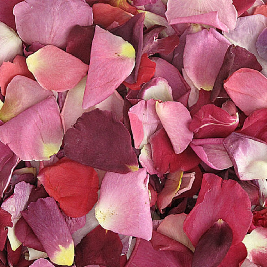 Eco-friendly Freeze Dried Rose Petal Confetti Dried Flower Petals