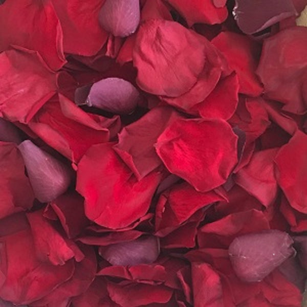 Red Rose Petal Confetti for Proposals and Weddings - from Rosepetals.ie Ireland providers of freeze dried real eco friendly rose petals Ireland